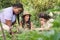 Three female farmers removing the weeds and laughing in an urban garden.