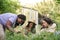 Three female farmers removing the weeds in an urban garden.