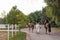 Three female riders riding horses side by side near wood fencing, rear view