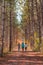 Three female tourists walking along the pathway between the walls of yellow orange red and green trees on Humber Valley