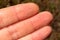 three fingers of the palm of a light-skinned human hand