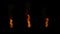 Three fire flames burning on a black background. Real fire. Transparent background.