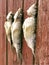 Three fish are drying on the fence 001