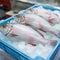 Three fish lying in an ice-filled box. Market in Thailand.