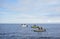Three fishing boats with fishermen catching fish in Baltic sea