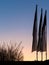 Three flags before sunrise backlit in winter