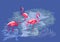 Three flamingos