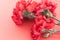 Three flower, red carnations on red background