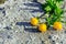 Three flowers cast shadows on concrete surfaces