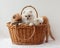 Three fluffy Pomeranian puppies two white and one sable color sit in a basket behind a red striped kitten climbs into the basket