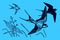 Three flying barn swallows hirundo rustica on a blue background