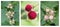 Three Focused Stacked Images of Thimble Berries