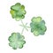 Three four leaf clover with watercolor
