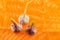 Three fragrant root vegetables garlic stands on an orange background fresh crop