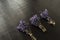 Three fragrant violet lavender bouquets on a dark background tied with decorative thread