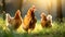 Three Free Range Chickens on a Green Meadow at Sunrise - Generative Ai