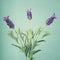 Three french lavender flowers