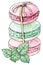 Three french macaroons tied with a ribbon and leaf of mint. Watercolor vector illustration