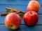 Three fresh apples, pink and red, and cinnamon sticks on the blue table