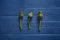 Three fresh artichokes on blue wooden table