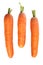 Three fresh carrots