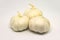 Three of Fresh Garlic Bulbs Isolated on White Background