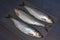 three fresh herrings. herring