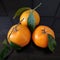 Three fresh and juicy kinnow with green leaves on a kitchen table