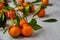 Three fresh tangerines with green leaves on the gray wooden board. Juicy orange mandarins tangerine orange on blurred background