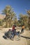 Three friends cycling in south Morocco