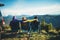 three friends sit in camping chairs on top of a mountain, travelers enjoy nature and cuddle, tourists look into distance on back