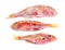 Three frozen red mullet fish isolated on white