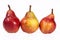 Three fruits of red pear isolated on white background
