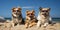 Three funny dogs with sun glasses on summer vacation at the beach. Summer feeling. Generative AI