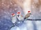 Three funny little birds sparrows in Santa`s festive red hat sitting on a branch under the snow in the Christmas garden
