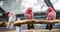 Three galah parrots sitting on a tree