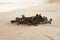 Three Galvanized Deck Screws on a Wooden Board, Shallow Depth of Field