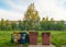 Three garbage containers against the backdrop of a city yard, a birch and a five-story building