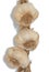 Three garlic heads drying on the white background