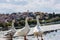 Three geese on the embankment of Orestias Lake