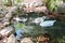 Three geese swimming in small pond bordered by large boulders.