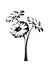 Three gerbera flowers. Vector black and white illustration.