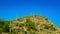 Three Giant Saguaros (Carnegiea gigantea), thickets of giant cacti in the stone desert in Arizona