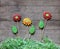 Three gingerbread flowers with paper grass on rustic wooden back