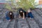 Three girls in zombie costumes crawl along the roof of an old ruined building and grimace frighteningly at the camera. Halloween