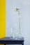 Three glass vases with white flower on gray yellow background. Antique interior decoration objects.