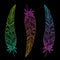 Three glowing feathers