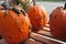 Three Gnarly Pumpkins for Sale