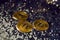 three gold iron coin ethereum and bitcoin on a shiny silver background