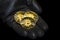 Three golden bitcoin coins on black gloves